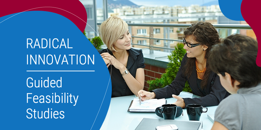 Radical Innovation in Capital Campaigns: Guided Feasibility Studies