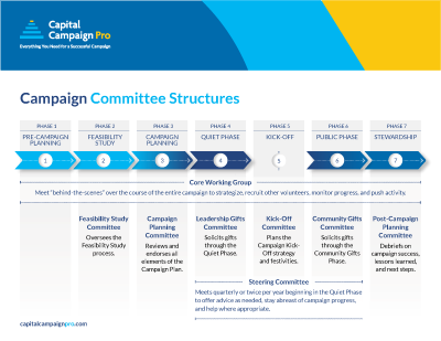 Capital Campaign Committee Structures