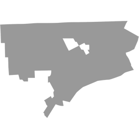 Detroit Area Capital Campaign Consulting